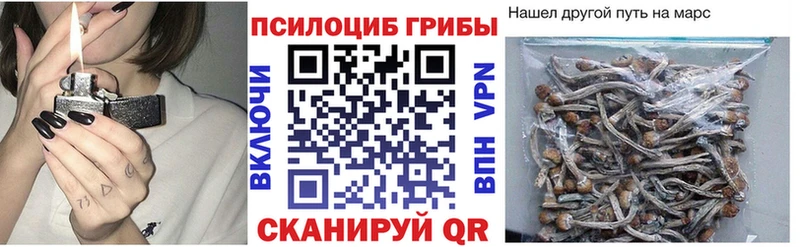 Псилоцибиновые грибы Cubensis  Купить  Новоуральск 